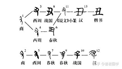 丑五行|分解十二地支最深刻的解读2（丑）